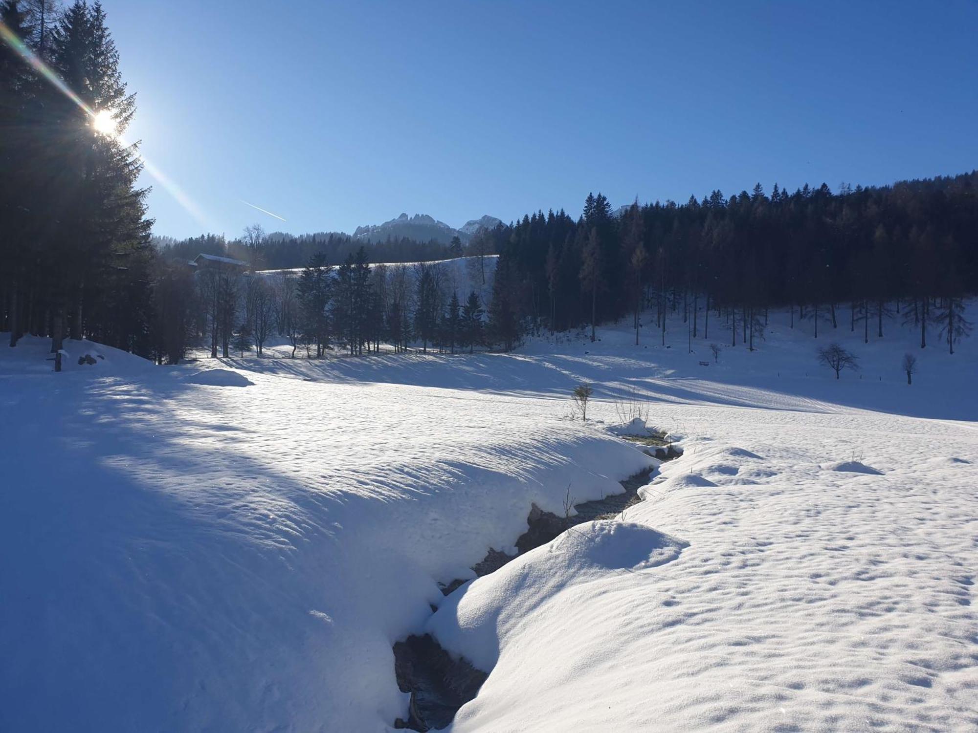 Mountain Residence Riesgut Werfen Exteriér fotografie